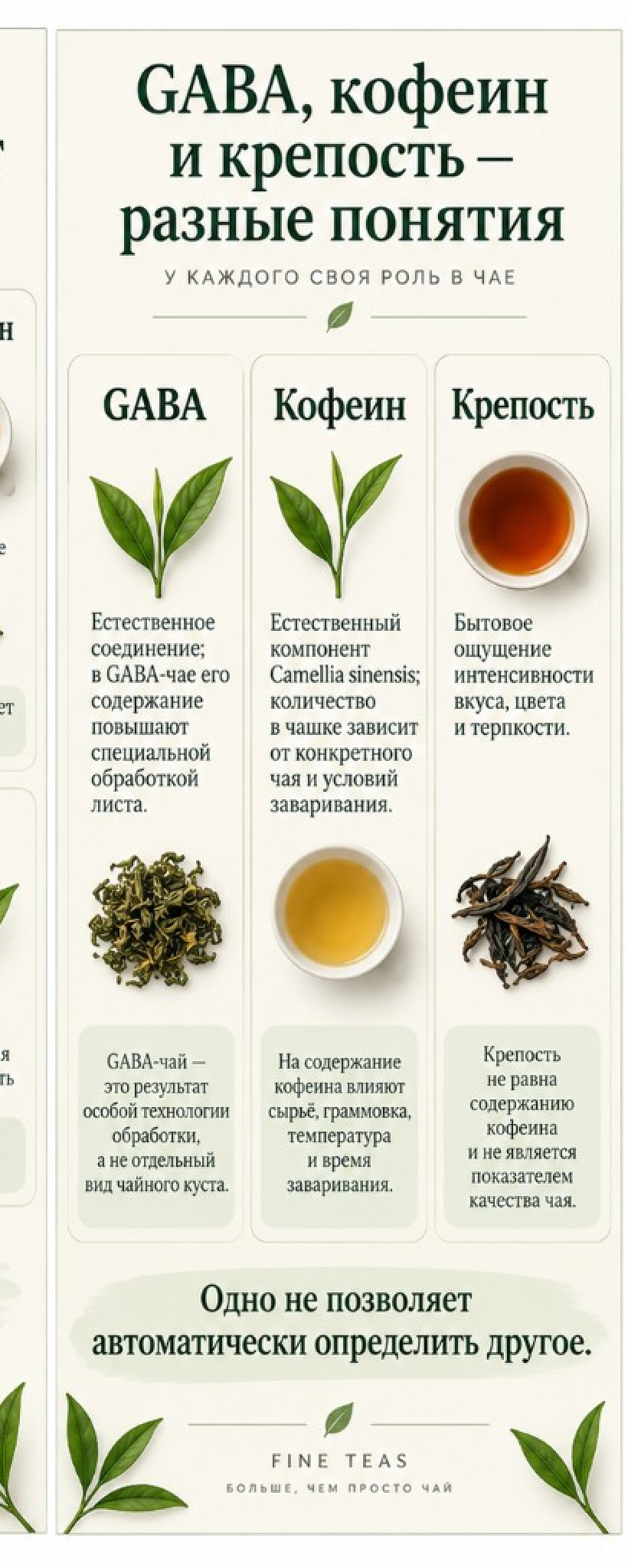 GABA, кофеин и крепость — разные понятия