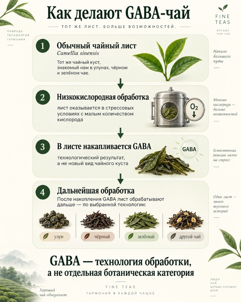 Схема производства GABA-чая: обычный лист, низкокислородная обработка, накопление GABA и дальнейшая обработка