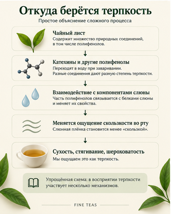 Упрощённая схема возникновения терпкости чая